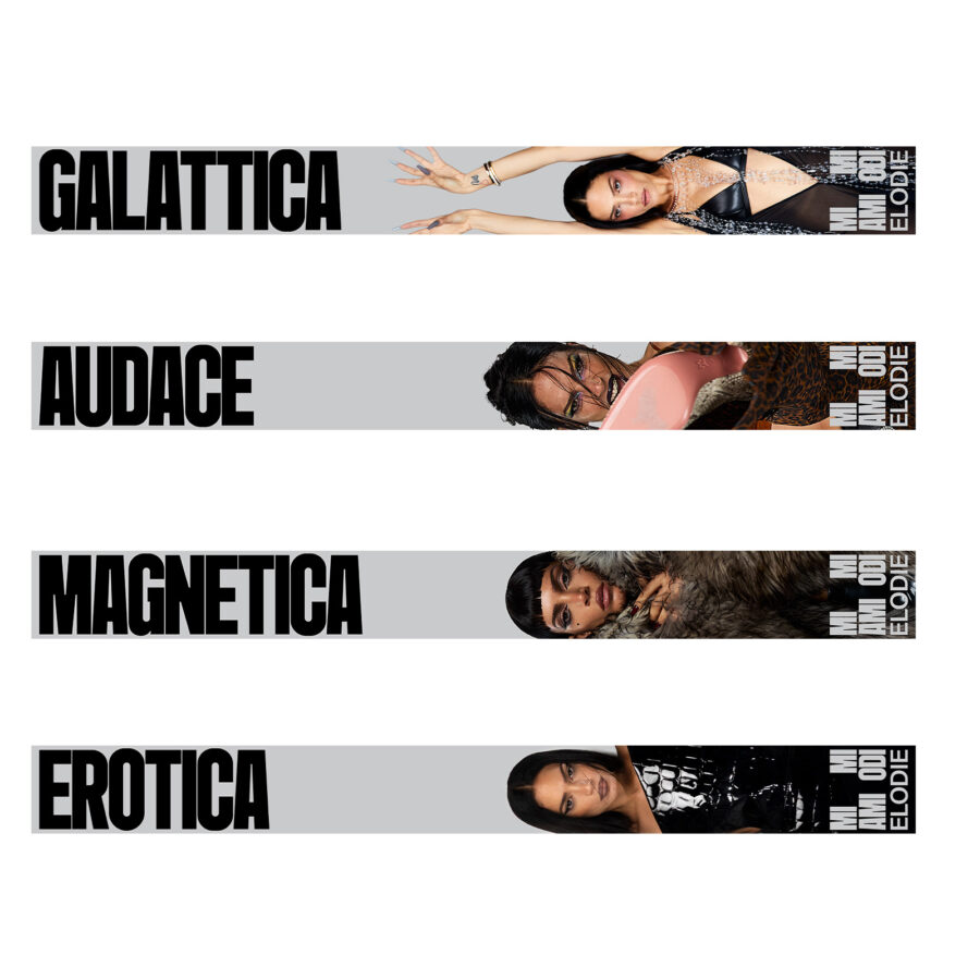BUNDLE 4 FASCETTE
